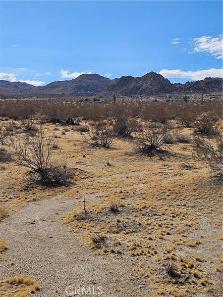 0 Twentynine Palms, Joshua Tree, CA 92252