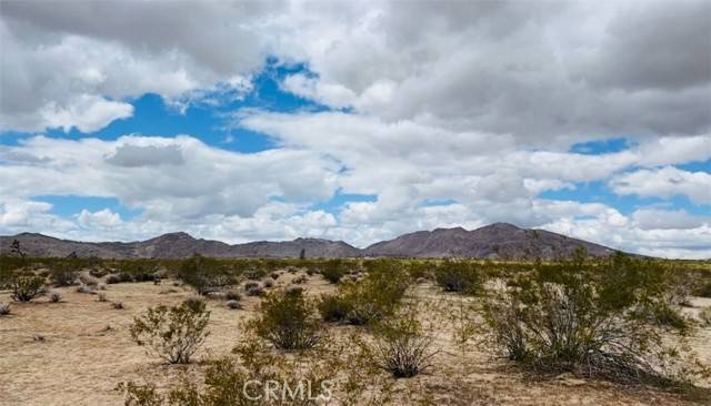 Joshua Tree, CA 92252,62985 Broadway