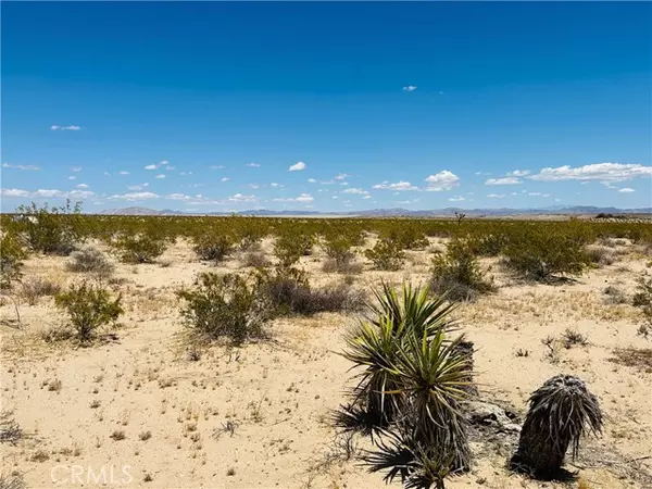 Joshua Tree, CA 92252,2 Milky Way