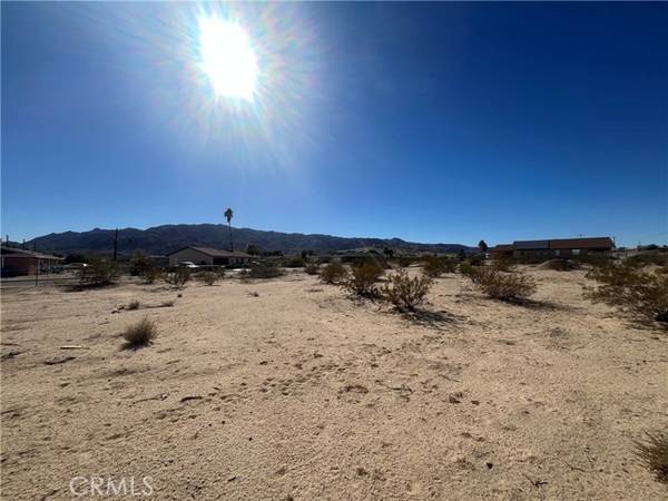 73624 Buena Vista, 29 Palms, CA 92277