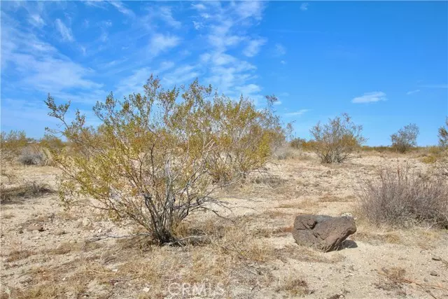 0 Moonlight Mesa, Joshua Tree, CA 92252