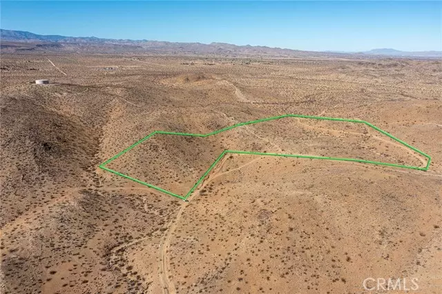 Yucca Valley, CA 92285,1000 Millie