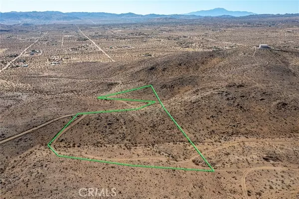 Yucca Valley, CA 92285,1000 Millie