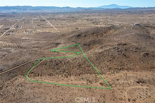 Yucca Valley, CA 92285,1000 Millie