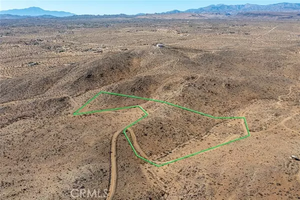 Yucca Valley, CA 92285,1000 Millie