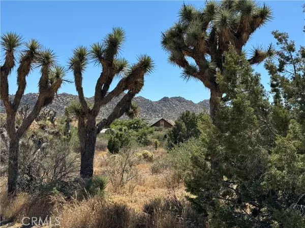 Pioneertown, CA 92268,53408 Stud Valley Road