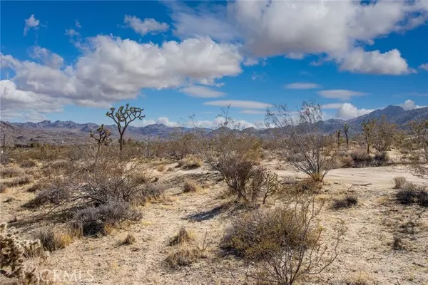 Joshua Tree, CA 92252,5 Sunset