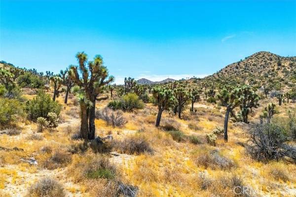 8553 Kickapoo, Yucca Valley, CA 92284