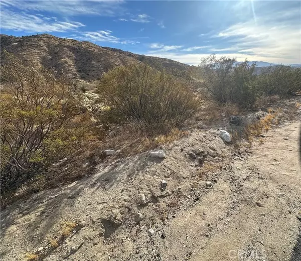 Morongo Valley, CA 92256,12345 29 Palms