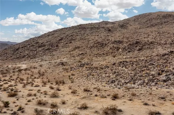 Joshua Tree, CA 92284,61000 Fountain