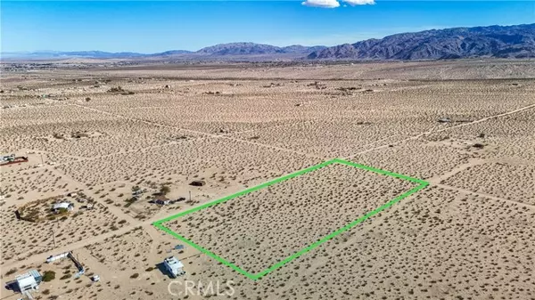 29 Palms, CA 92277,1 Nandina