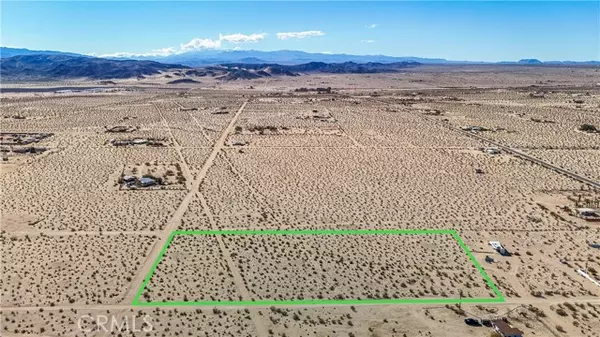 29 Palms, CA 92277,1 Nandina