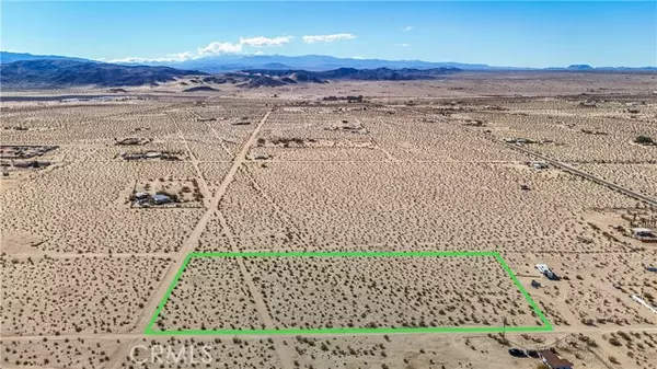 29 Palms, CA 92277,1 Nandina