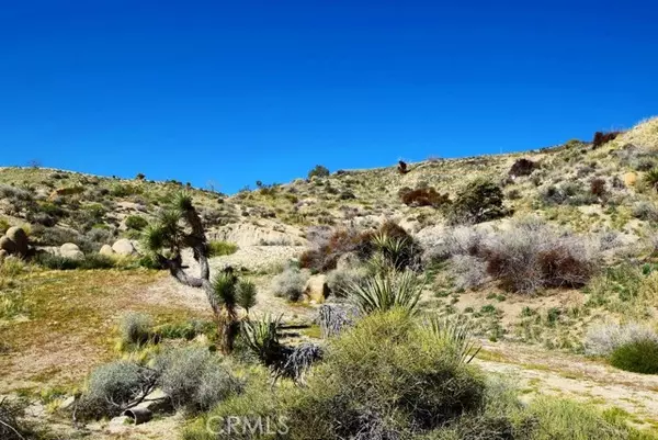 Yucca Valley, CA 92284,5996 Buena Suerte