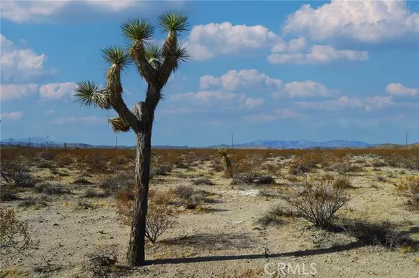 Joshua Tree, CA 92252,6130 La Brisa