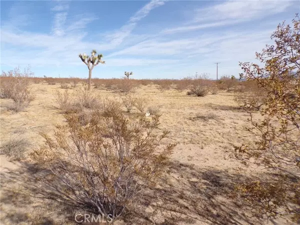 Joshua Tree, CA 92252,0 Foxy Flats