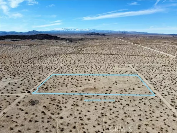 Joshua Tree, CA 92252,46 Desert Lily