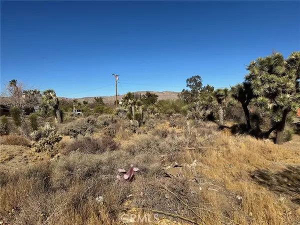 Yucca Valley, CA 92284,56434 Desert Gold