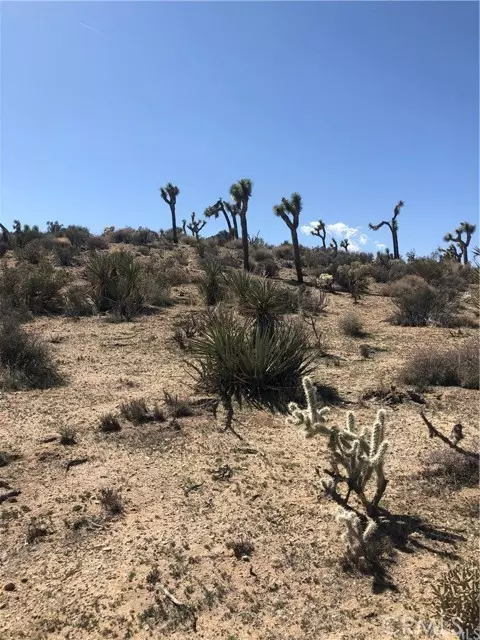 Yucca Valley, CA 92284,4390 Balsa