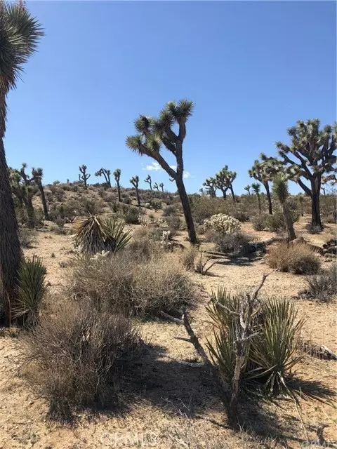 Yucca Valley, CA 92284,4390 Balsa