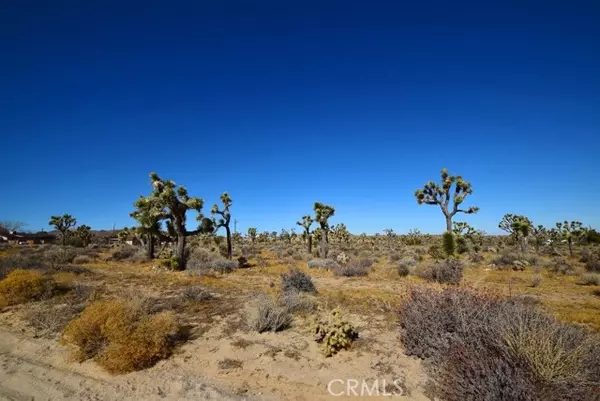 Yucca Valley, CA 92284,57166 Chipmunk