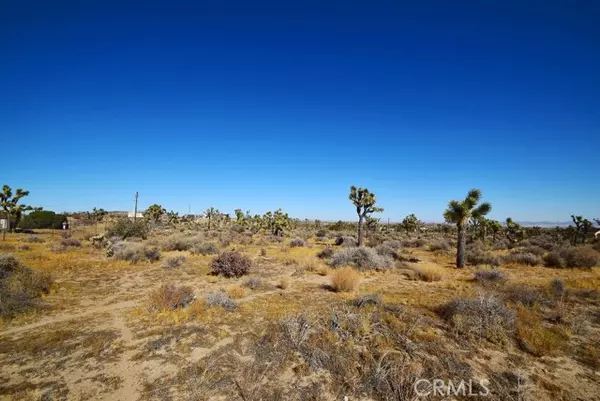 Yucca Valley, CA 92284,57166 Chipmunk