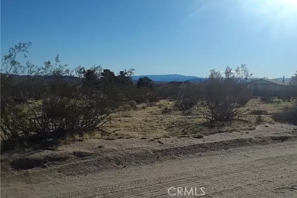 Yucca Valley, CA 92284,345 Deer