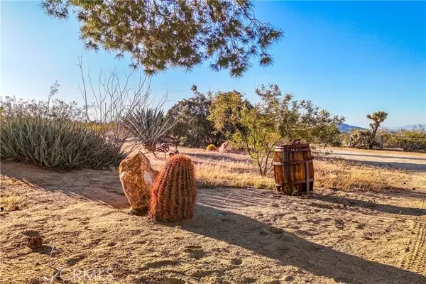 Joshua Tree, CA 92252,8173 Fleur Drive