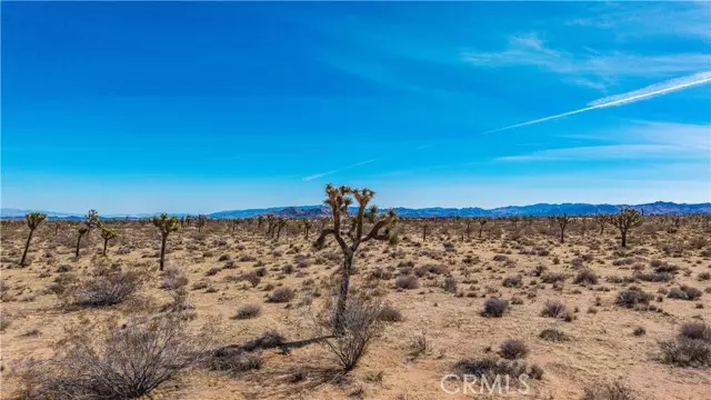 Yucca Valley, CA 92284,2699 Warren Vista