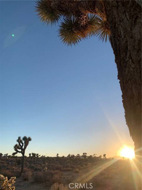 Yucca Valley, CA 92284,57816 Pajara