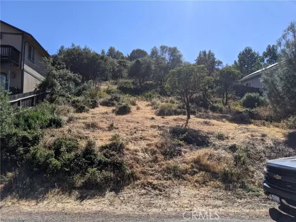 Kelseyville, CA 95451,5339 Larkspur