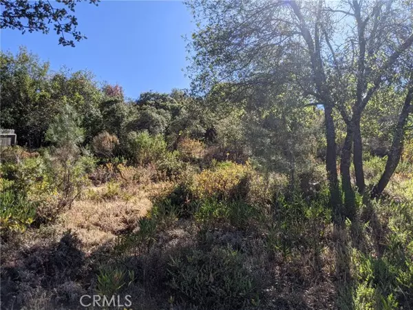 Kelseyville, CA 95451,5339 Larkspur