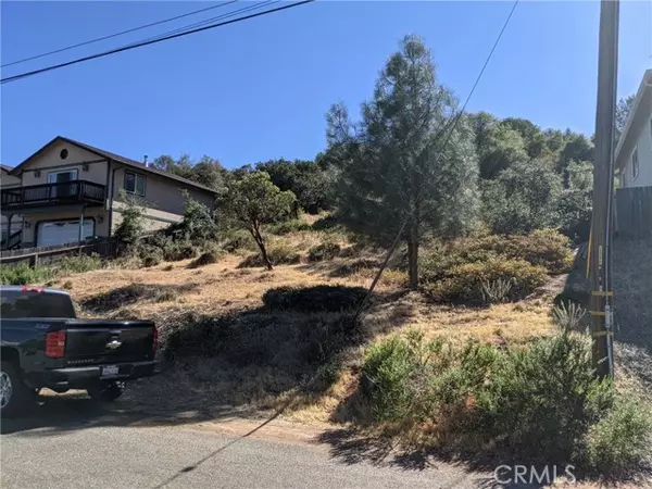 Kelseyville, CA 95451,5339 Larkspur