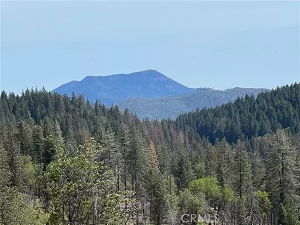 Cobb, CA 95426,15675 Summit