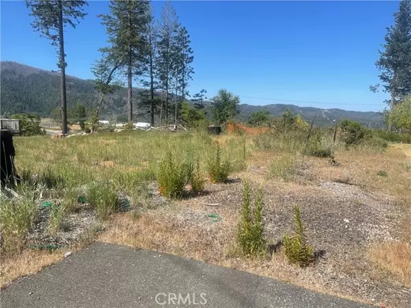 Cobb, CA 95426,14867 Grouse