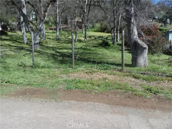 Clearlake Oaks, CA 95423,12508 Oak