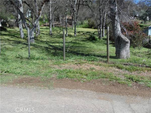 Clearlake Oaks, CA 95423,12508 Oak