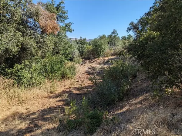 Clearlake Oaks, CA 95423,1565 Old Long Valley