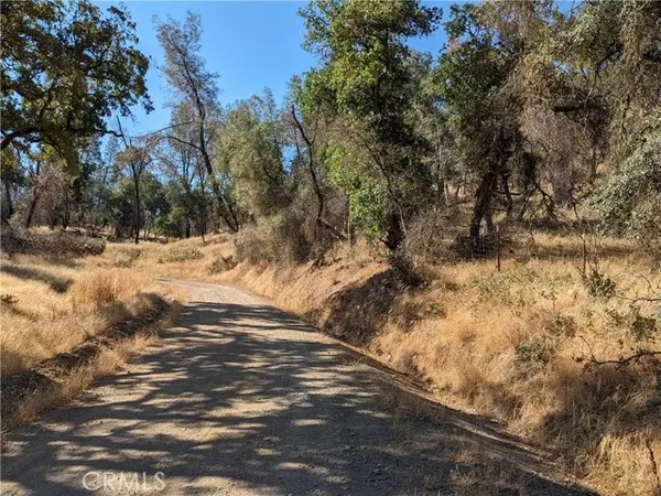 Clearlake Oaks, CA 95423,1565 Old Long Valley