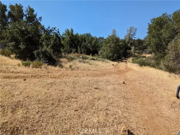 Clearlake Oaks, CA 95423,1565 Old Long Valley