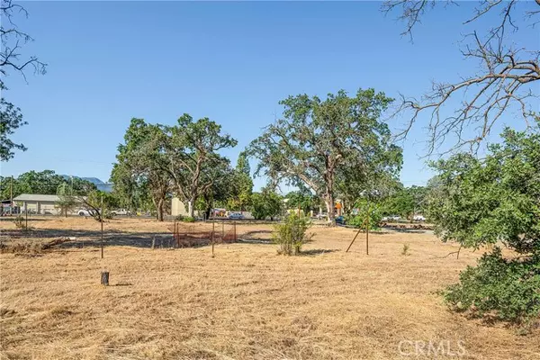 Middletown, CA 95461,21098 Park