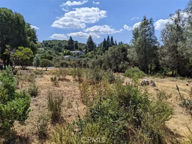 Kelseyville, CA 95451,9709 Tenaya