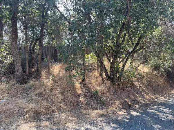 Clearlake, CA 95422,15733 31st