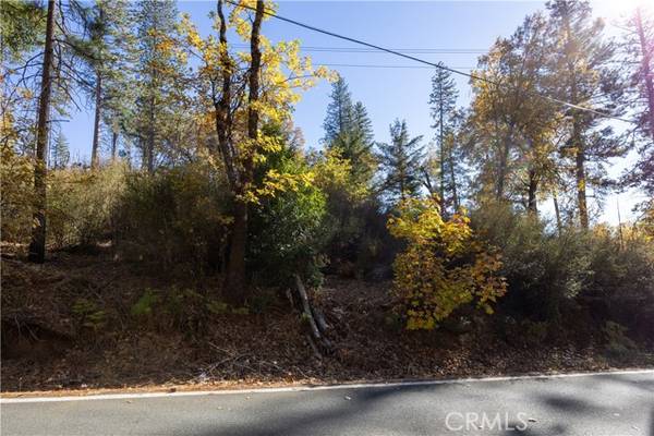 10981 Gifford Springs, Cobb, CA 95426