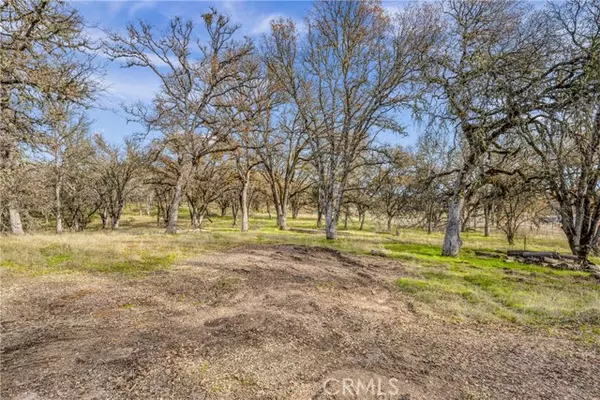 Lakeport, CA 95453,1282 Creekside