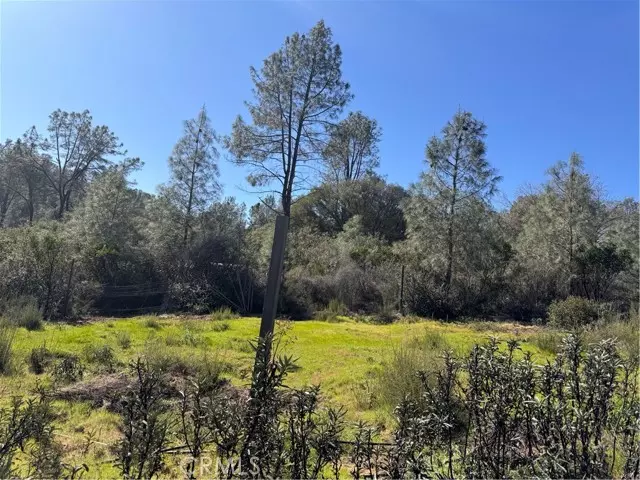 20280 Jerusalem Grade, Lower Lake, CA 95457