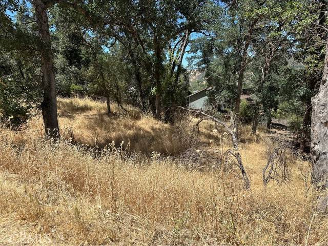 Clearlake, CA 95422,13020 Ridge