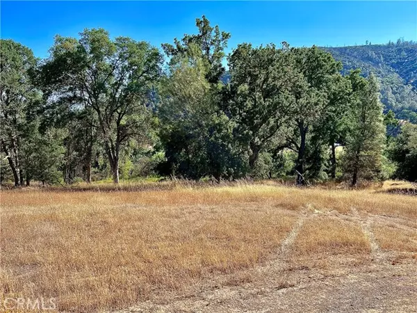 Clearlake Oaks, CA 95423,1843 New Long Valley