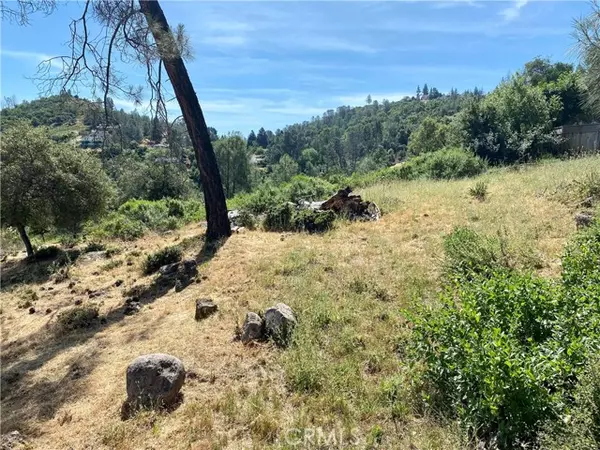 Kelseyville, CA 95451,4970 Iroquois Trail