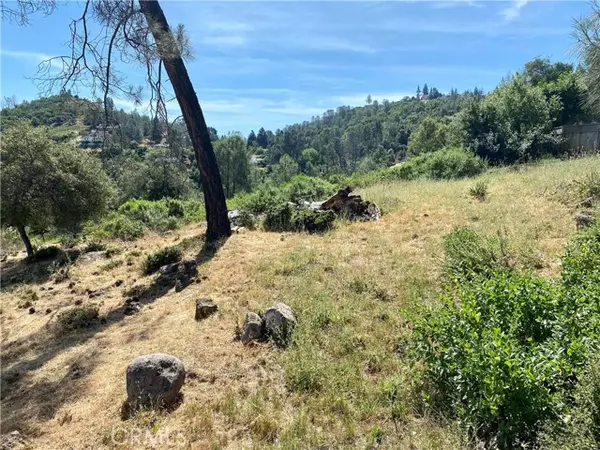 Kelseyville, CA 95451,4970 Iroquois Trail